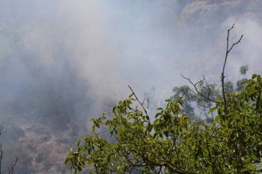 Yaz yangın, Güney İtalya