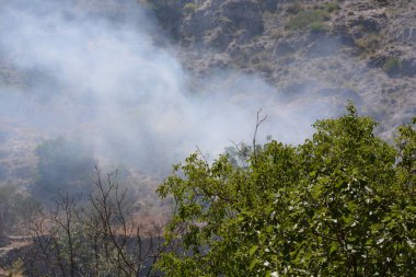 Yaz yangın, Güney İtalya