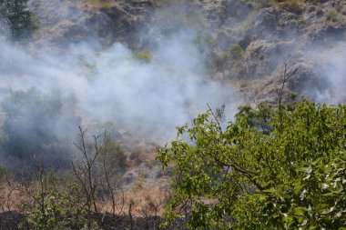 Yaz yangın, Güney İtalya