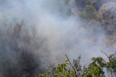 Yaz yangın, Güney İtalya
