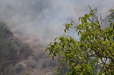 Yaz yangın, Güney İtalya