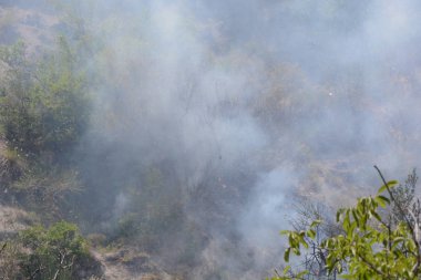 Yaz yangın, Güney İtalya