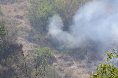 Yaz yangın, Güney İtalya