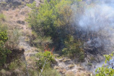 Yaz yangın, Güney İtalya