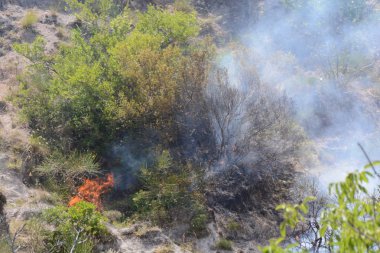 Yaz yangın, Güney İtalya