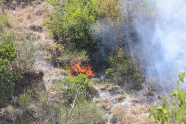 Yaz yangın, Güney İtalya