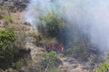 Yaz yangın, Güney İtalya