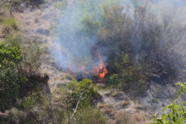 Yaz yangın, Güney İtalya