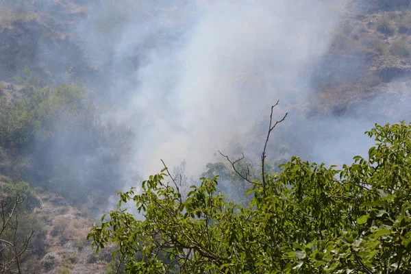 Yaz yangın, Güney İtalya