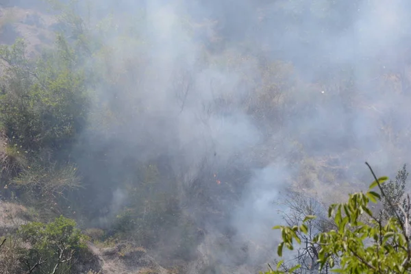 Yaz yangın, Güney İtalya