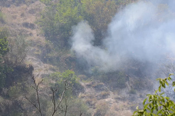 Yaz yangın, Güney İtalya