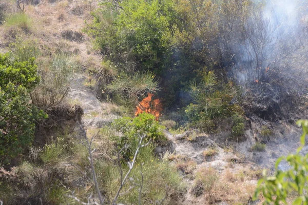 Yaz yangın, Güney İtalya