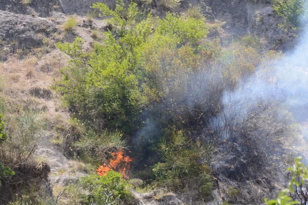 Yaz yangın, Güney İtalya