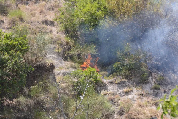 Yaz yangın, Güney İtalya