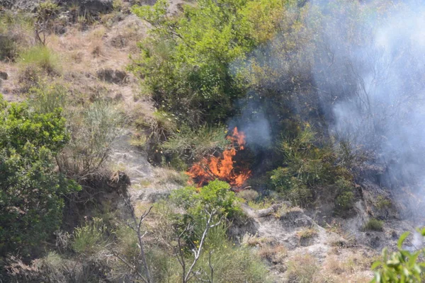 Yaz yangın, Güney İtalya