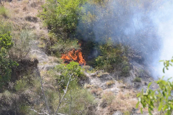 Yaz yangın, Güney İtalya