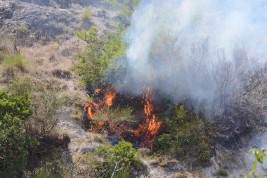 Yaz yangın, Güney İtalya