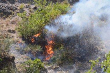 Yaz yangın, Güney İtalya