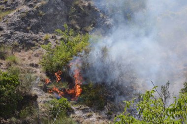 Yaz yangın, Güney İtalya