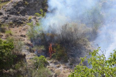 Yaz yangın, Güney İtalya