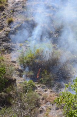 Yaz yangın, Güney İtalya