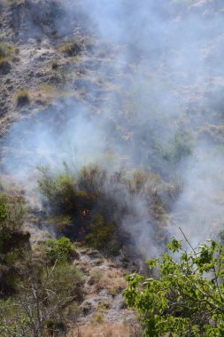 Yaz yangın, Güney İtalya