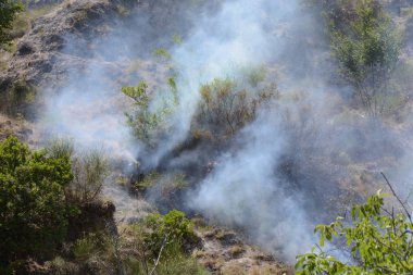 Yaz yangın, Güney İtalya
