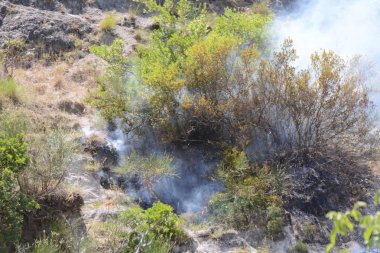 Yaz yangın, Güney İtalya