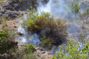 Yaz yangın, Güney İtalya