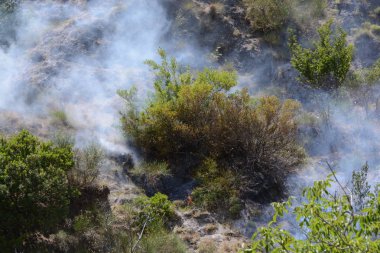 Yaz yangın, Güney İtalya