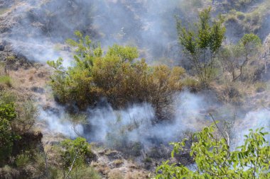 Yaz yangın, Güney İtalya