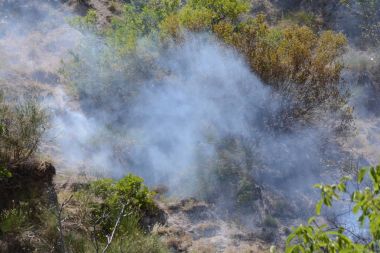 Yaz yangın, Güney İtalya