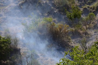 Yaz yangın, Güney İtalya