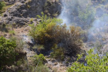 Yaz yangın, Güney İtalya.