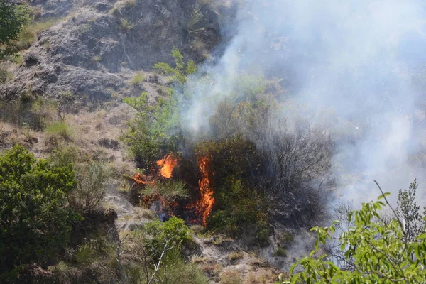 Yaz yangın, Güney İtalya