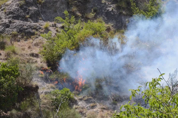 Yaz yangın, Güney İtalya