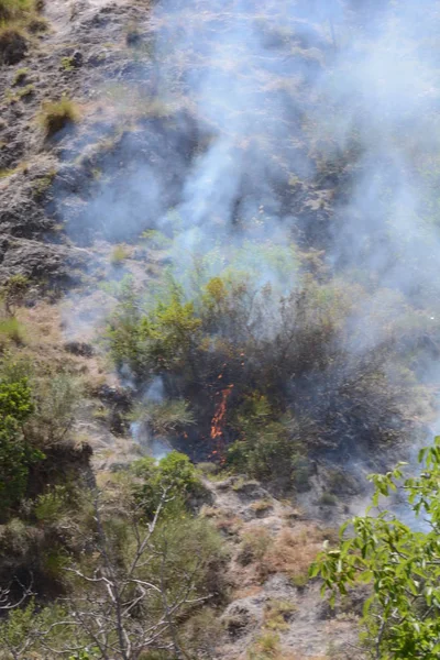 Yaz yangın, Güney İtalya