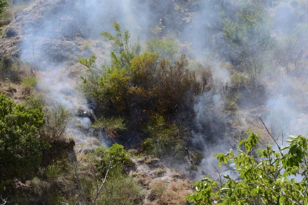 Yaz yangın, Güney İtalya