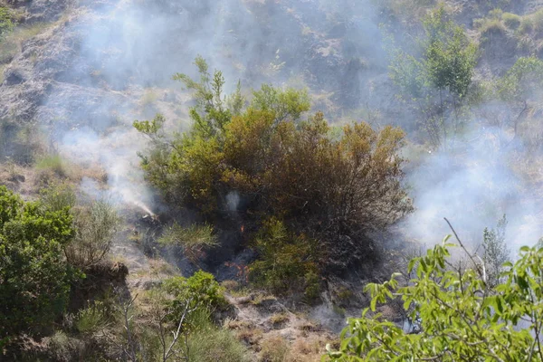 Yaz yangın, Güney İtalya