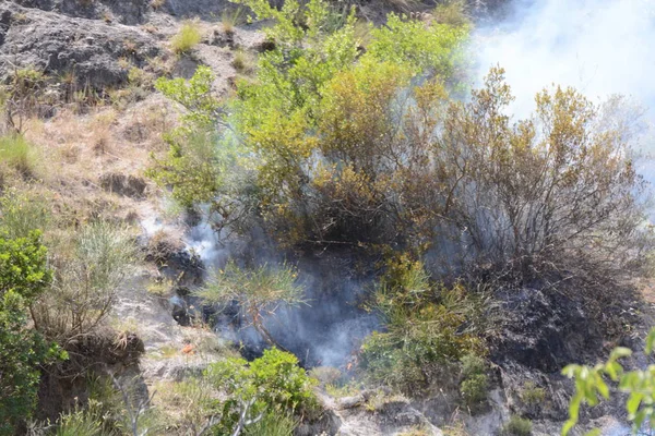 Yaz yangın, Güney İtalya