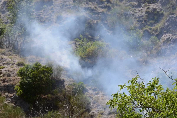 Yaz yangın, Güney İtalya