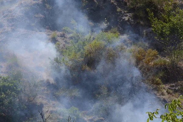 Yaz yangın, Güney İtalya