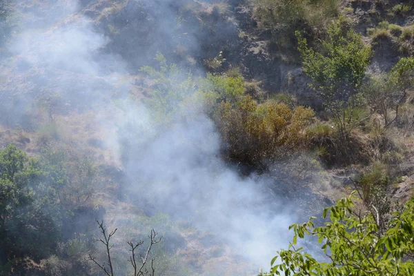 Yaz yangın, Güney İtalya.