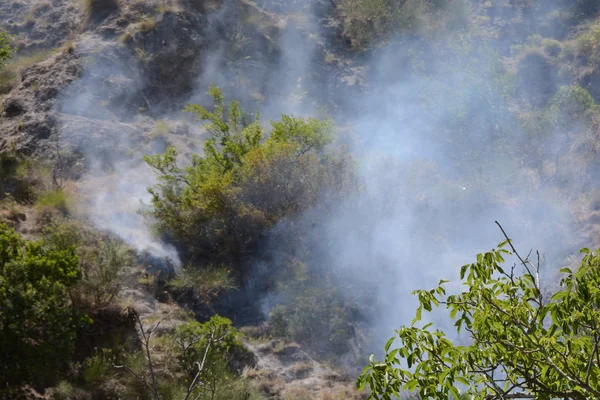 Yaz yangın, Güney İtalya.