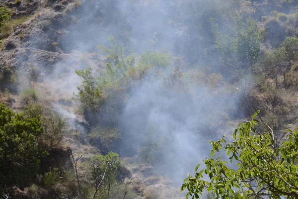 Fuego de verano, sur de Italia . — Foto de Stock