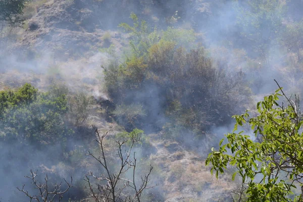Yaz yangın, Güney İtalya.