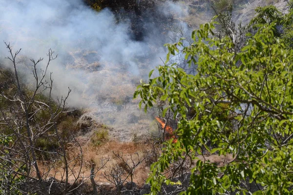 Yaz yangın, Güney İtalya.