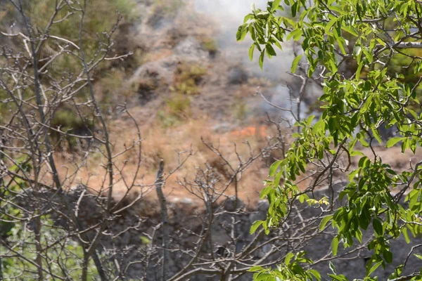Yaz yangın, Güney İtalya.