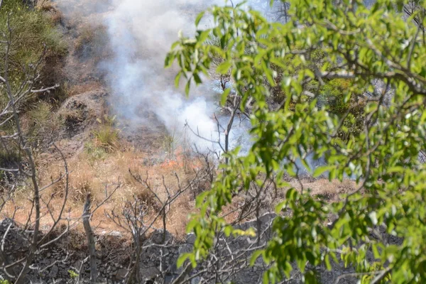 Yaz yangın, Güney İtalya.