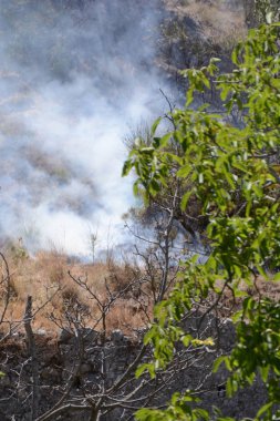 Yaz yangın, Güney İtalya.